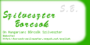 szilveszter borcsok business card